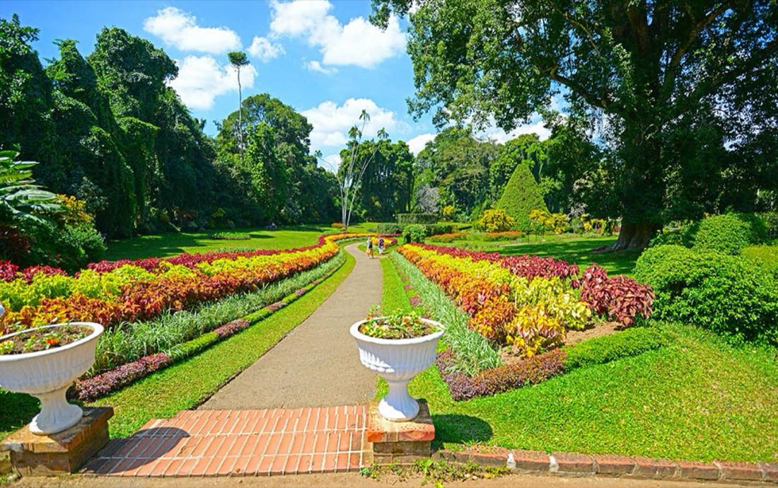 Jardín formal con macizos de flores mantenidos